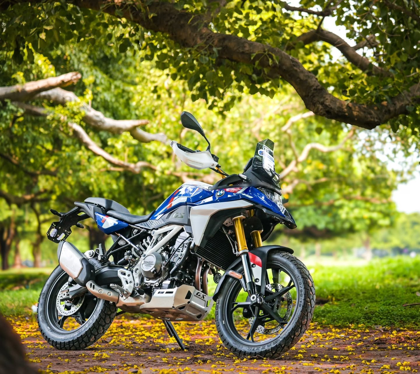 Adventure motorcycle parked under a canopy of trees on a carpet of yellow petals